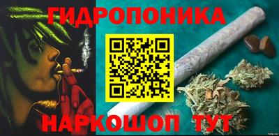 дмт Пушкино