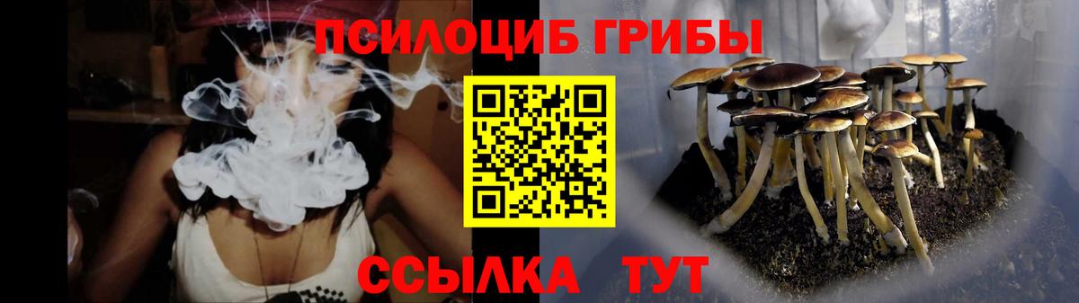 как найти закладки  Псилоцибиновые грибы MAGIC MUSHROOMS  Вход с VPN  Северобайкальск 